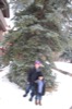 resIMG_20151126_144342_5264.JPG
